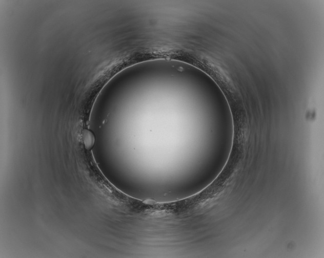 X0000090870689200707271250