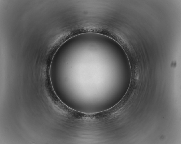 X0000090870690200707271250