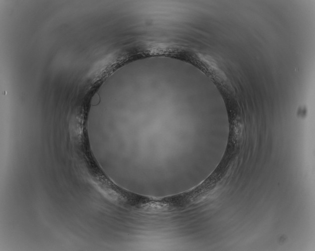 X0000090870691200707271250