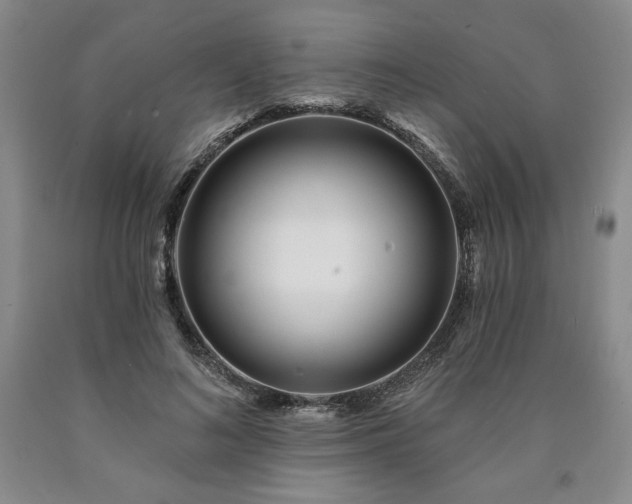 X0000090870692200707271250