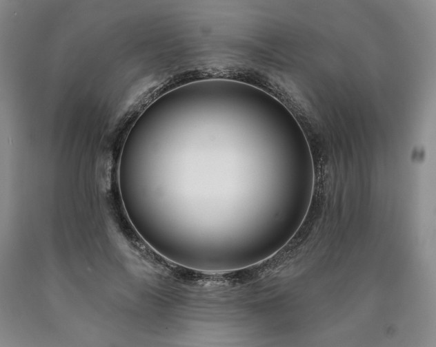 X0000090870694200707271250