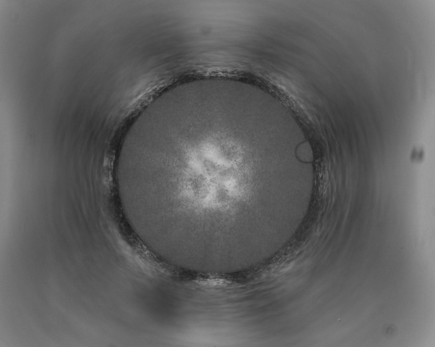 X0000090870695200707271250