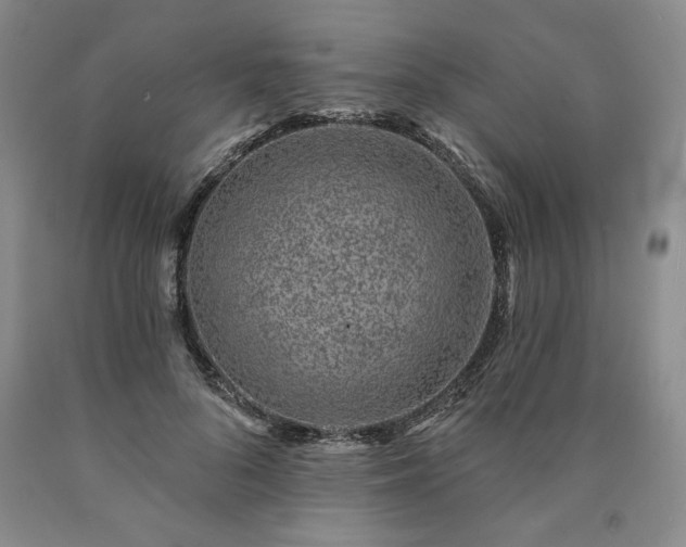 X0000090870696200707271250