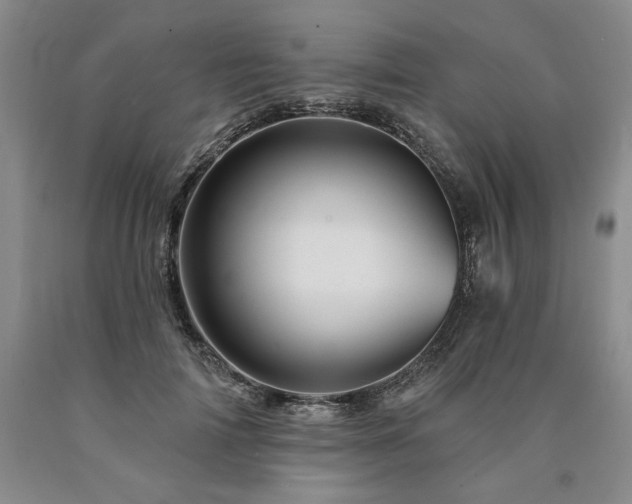 X0000090870698200707271250