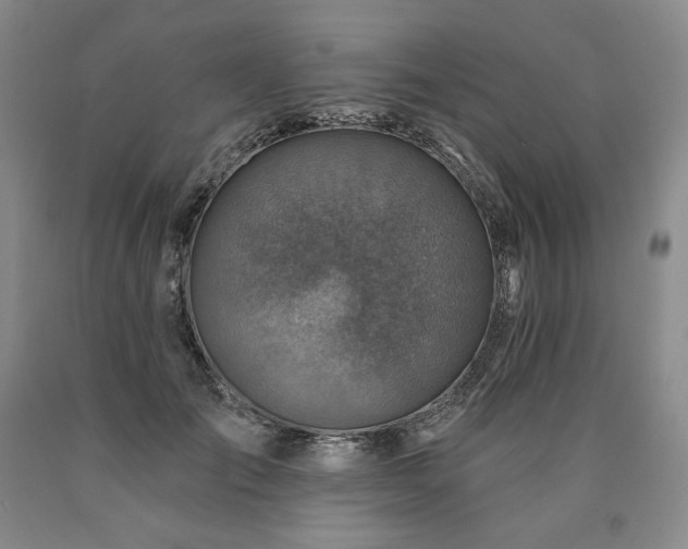 X0000090870701200707271250