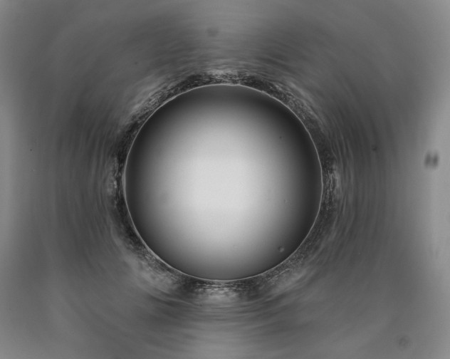 X0000090870702200707271250