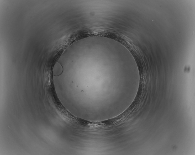 X0000090870703200707271250