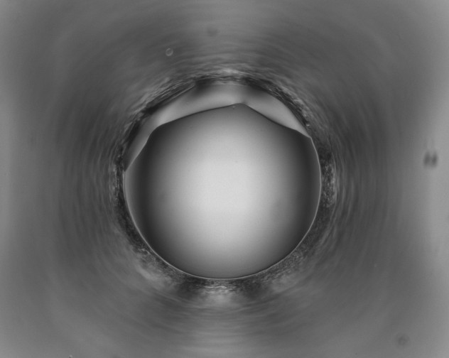 X0000090870704200707271250