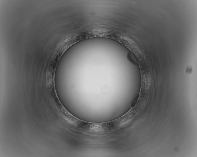 X0000090870705200707271250