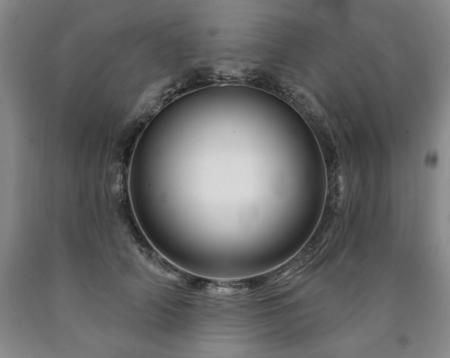 X0000090870706200707271250