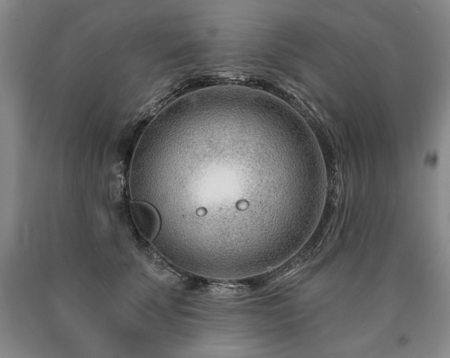 X0000090870707200707271250