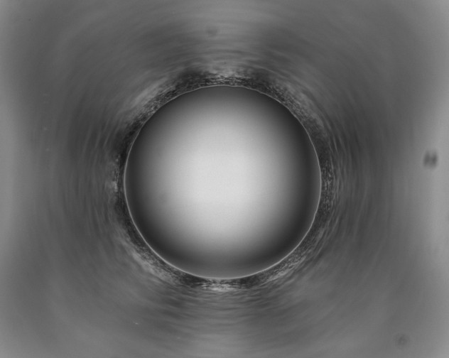 X0000090870710200707271250