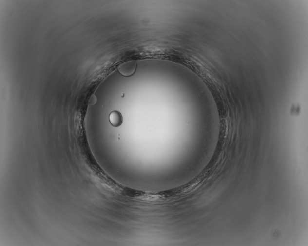 X0000090870711200707271250