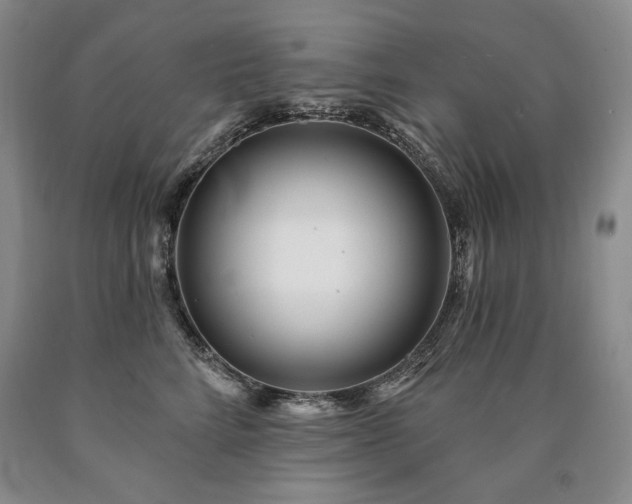 X0000090870712200707271250