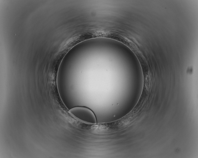 X0000090870714200707271250