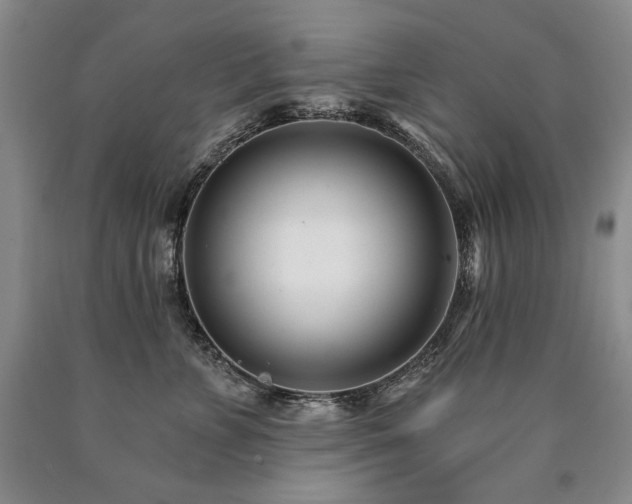 X0000090870715200707271250