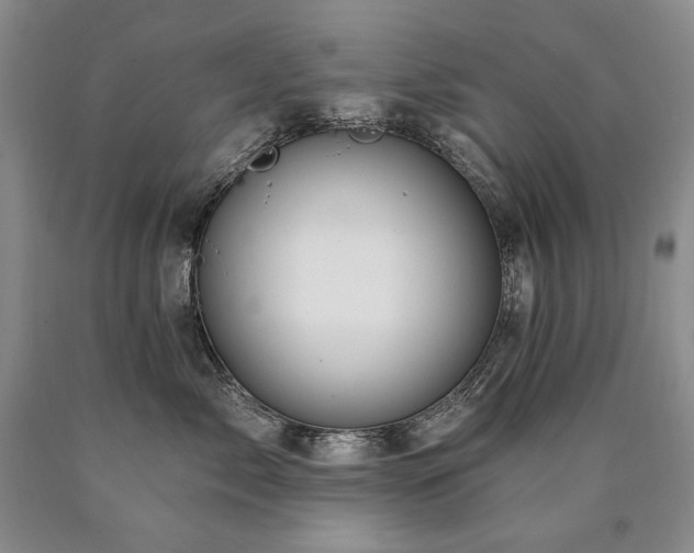 X0000090870717200707271250