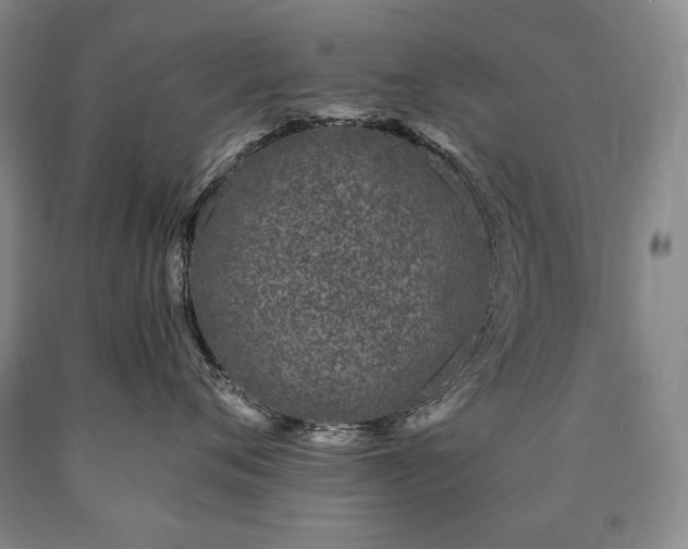 X0000090870720200707271250