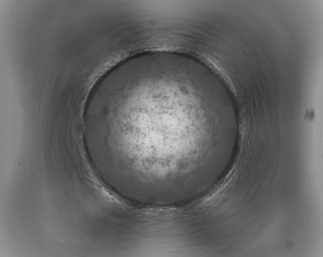 X0000090870721200707271249