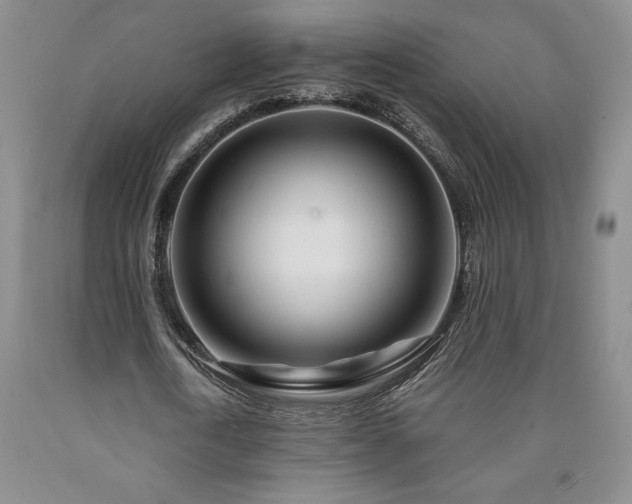 X0000090870722200707271249