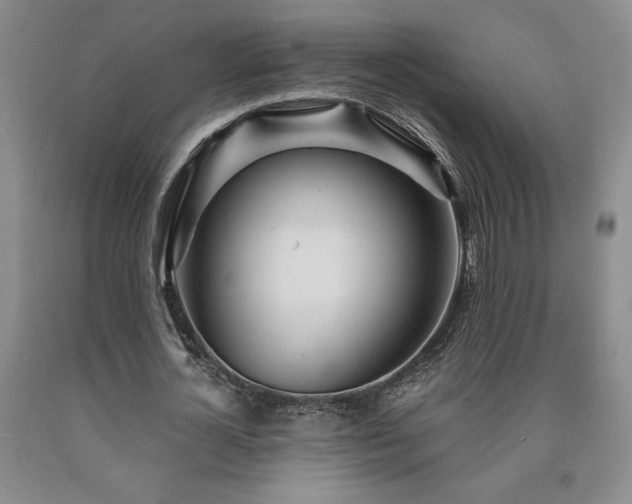 X0000090870724200707271249