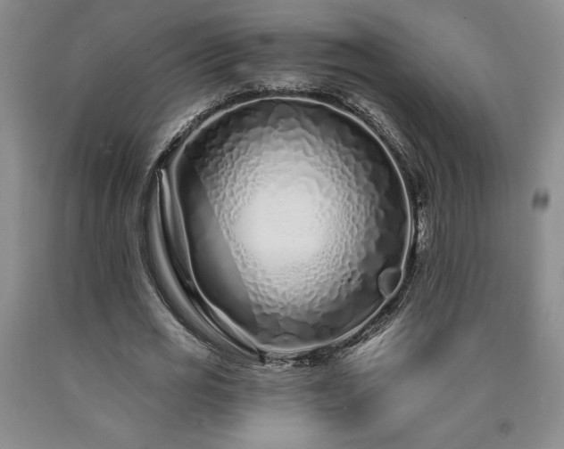 X0000090870725200707271249