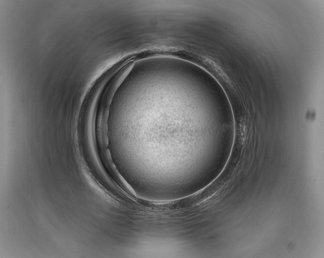 X0000090870726200707271250