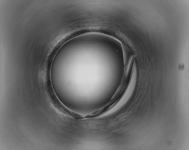 X0000090870728200707271250