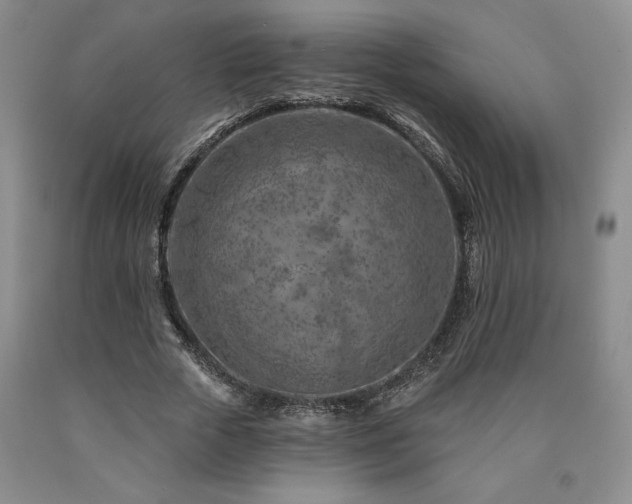 X0000090870729200707271250