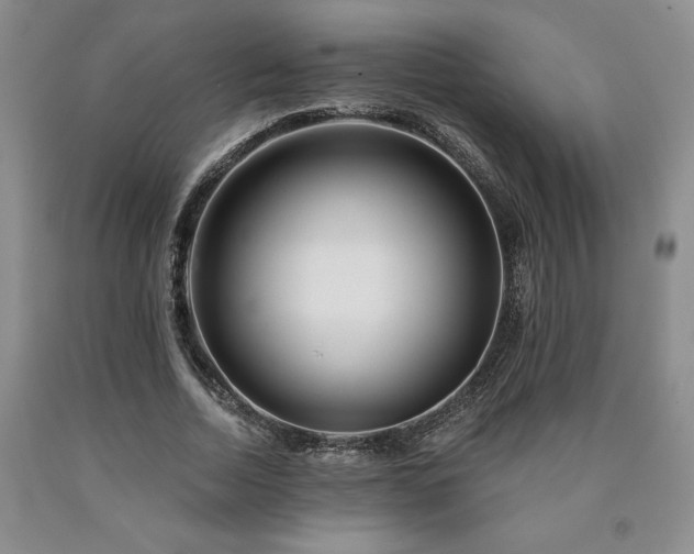 X0000090870730200707271250