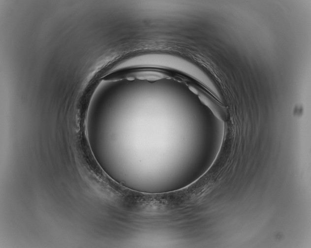 X0000090870731200707271250