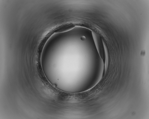 X0000090870732200707271250