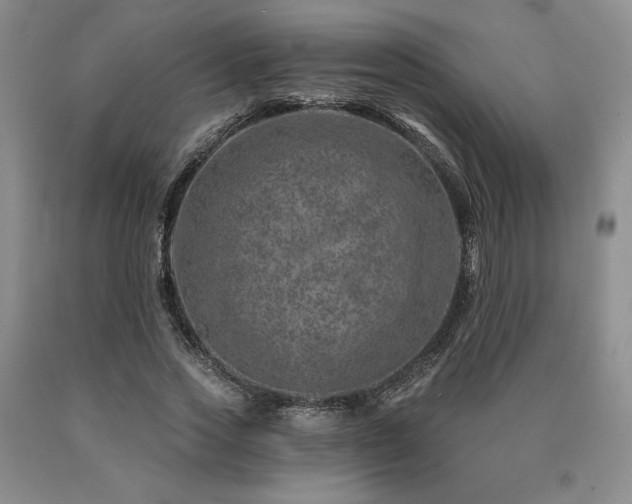 X0000090870733200707271250