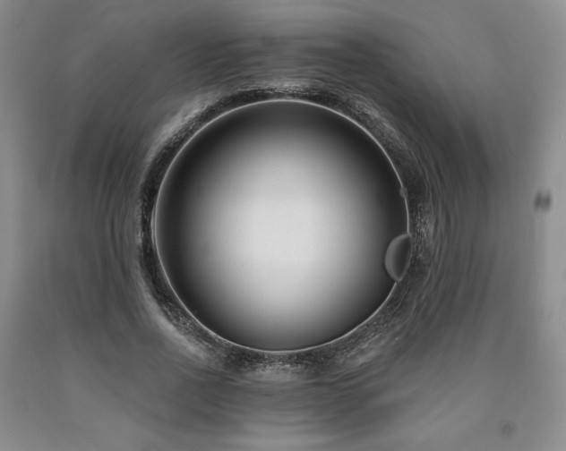 X0000090870734200707271250