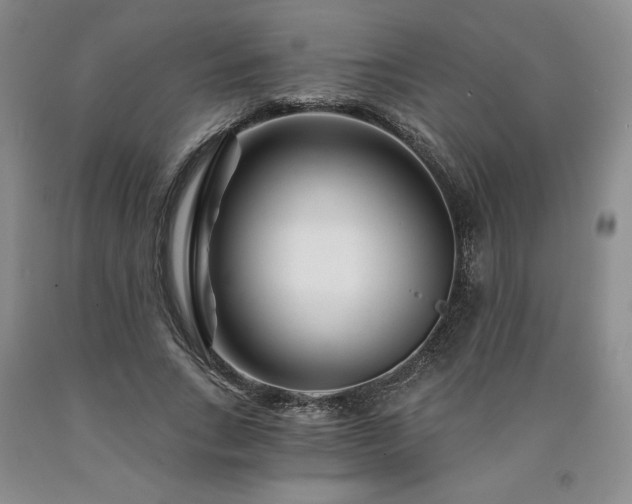 X0000090870735200707271250