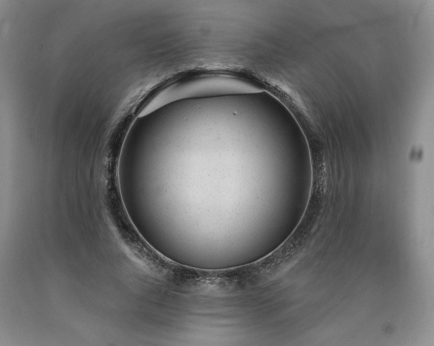 X0000090870736200707271250