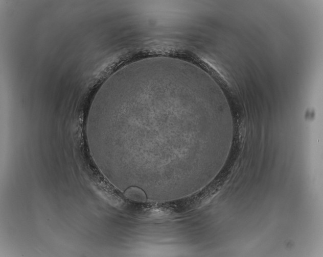 X0000090870737200707271250