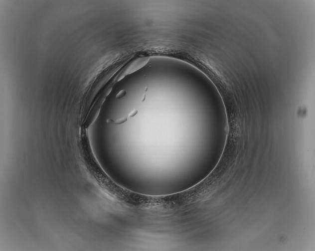 X0000090870738200707271250