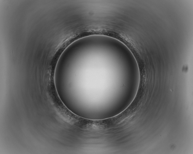 X0000090870739200707271250