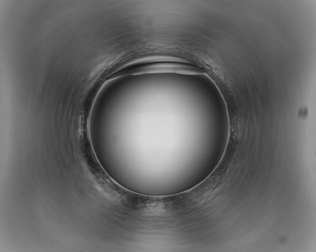 X0000090870740200707271250