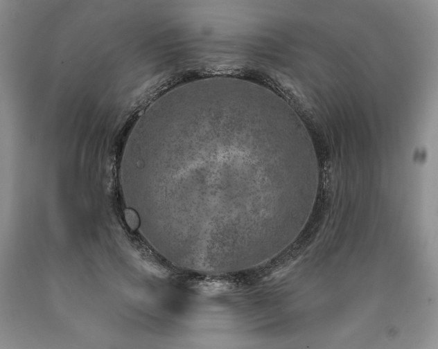 X0000090870741200707271250