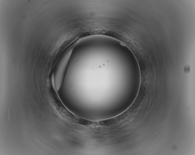 X0000090870742200707271250