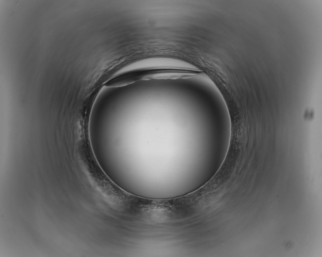 X0000090870743200707271250