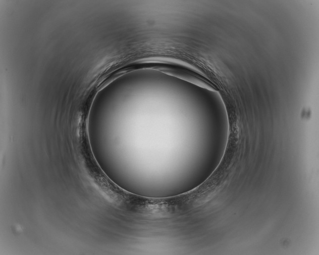 X0000090870744200707271250