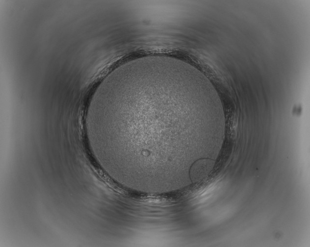 X0000090870746200707271250