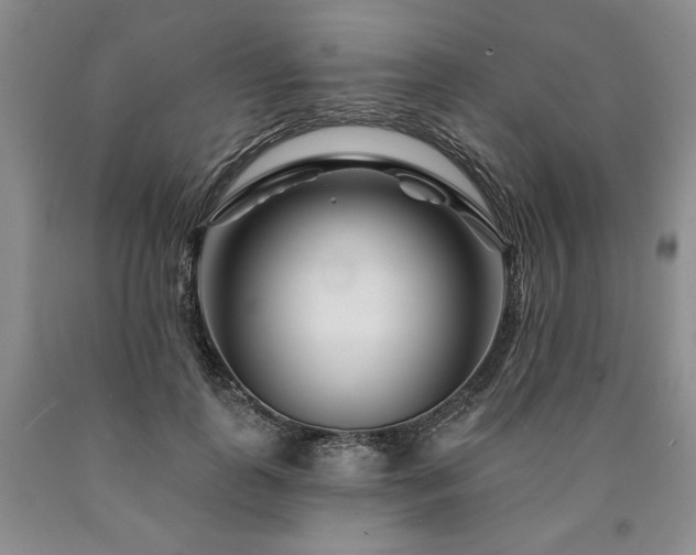 X0000090870747200707271250