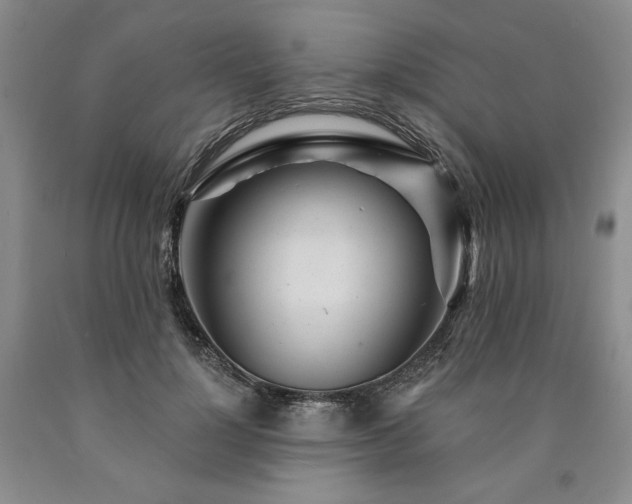 X0000090870748200707271250