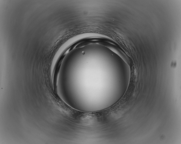 X0000090870750200707271250