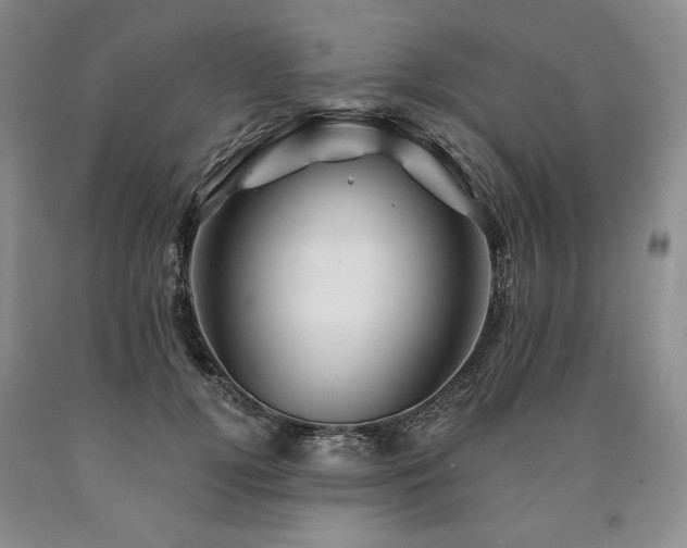 X0000090870752200707271250