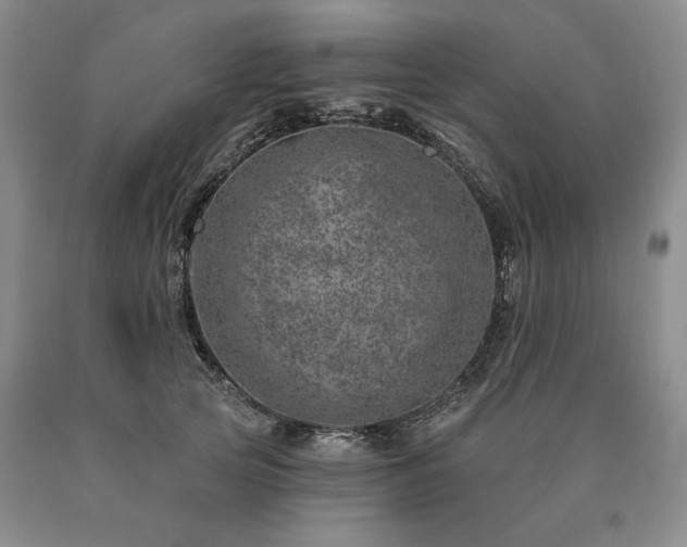 X0000090870753200707271250